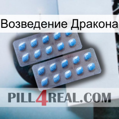 Возведение Дракона viagra4